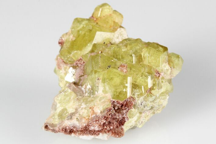 Lustrous, Yellow Topazolite Garnet Cluster - Mexico #188262